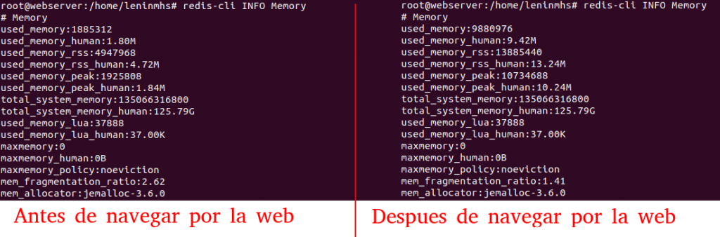 Установка и настройка redis debian